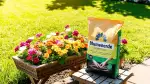 Blumenerde Unterschiede: Das richtige Substrat für jede Pflanze
