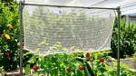 Hagelschutznetze im Garten