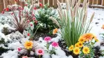 Wintergartenarbeit: Die frostige Gartenzeit optimal nutzen