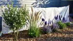 Gartenvlies im Winter: Optimaler Frostschutz für Pflanzen