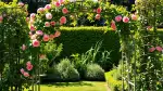 Vertikaler Garten mit Kletterpflanzen