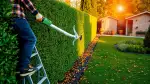 Heckenschnitt im Herbst