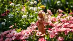 Bezaubernde Gartenfeen als magische Dekoration