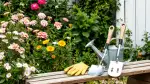 Aluminium-Gartenwerkzeug-Sets: Leicht und unbesiegbar
