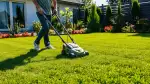 Rasenmäher mit Mulchfunktion