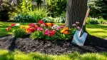 Mulch im Garten: Naturschutz für Pflanzen und Boden