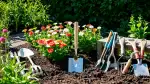 Bodendecker: Natürliche Teppiche für deinen Garten