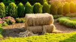 Strohmulch im Garten