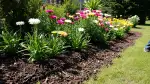 Mulchmatten für Beete: Natürlich schützen und pflegen
