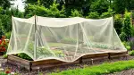 Insektenschutznetze im Garten richtig einsetzen