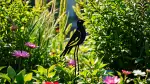 Gartenstecker Vögel