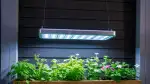Pflanzenlicht-Systeme für perfektes Indoor-Growing