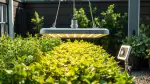 Pflanzenlampen mit Fernbedienung