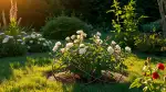 Ameisenschutz für Gartenpflanzen