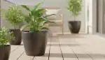 Pflanzkübel mit Wasserspeicher: Clever Gießen