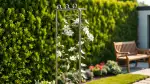 Jahreszeiten-Rankhilfen für strukturierte Gartenschönheit