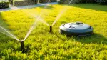 Automatische Rasenbewässerung für Mähroboter-Besitzer