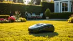Mähroboter im Test – Zeit sparen mit smarter Gartentechnik