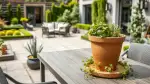 Mediterrane Kräutererde: Aromenwunder im Garten