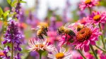 Bienen im Garten fördern