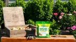 Effektive Mikroorganismen für Gartenbodenqualität