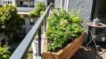 Das richtige Hochbeet für Balkon & Terrasse