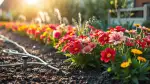 Unterirdische Bewässerungssysteme im Garten