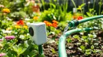 Tropfbewässerung mit Gartenschlauch