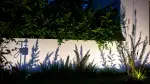 Schattenspiele im Garten