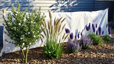 Gartenvlies im Winter: Optimaler Frostschutz für Pflanzen