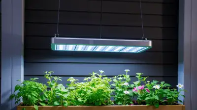 Pflanzenlicht-Systeme für perfektes Indoor-Growing