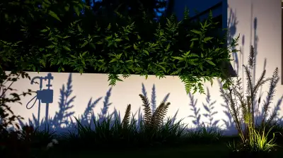 Schattenspiele im Garten