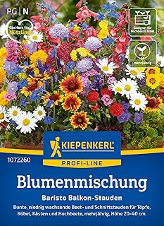 Kiepenkerl Blumenmischung Baristo Balkon-Stauden 1072260 – bunt – niedrig wachsend – Beet- und Sc…