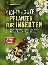 Richtig gute Pflanzen für Insekten: Die besten Blüten für maximal viele Bienen, Schmetterlinge…