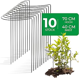 Novatool 10 Strauchstütze Metall halbrund 40 cm Ø70 cm hoch grün Staudenhalter Blumenhalter Ra…