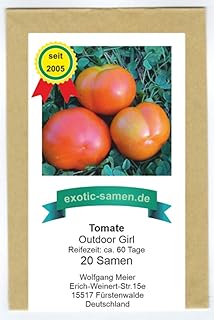 Tomate – Outdoor Girl – eine sehr frühe, kältetolerante Sorte – 20 Samen