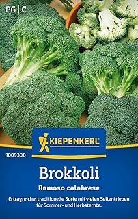 Kiepenkerl Brokkolisamen Ramoso calabrese 1009300 – Ertragreiche Sorte – Inhalt für 75 Pflanzen …