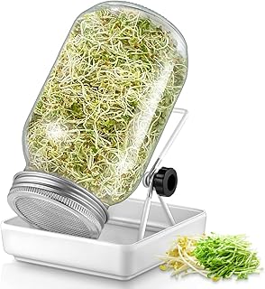 ecooe Sprossen Keimglas 1er Set keimgläser für Sprossenglas Sprouting jar mit 1 Wasserschale 1 …