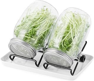 Sprossenglas Set|2er-Set 1000ml Keimglas mit Deckeln und Haltern und Schalen|Sprossengläser für…