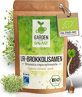 Brokkoli Samen Bio [500 Gr] – Brokkolisamen mit hohem Sulforaphan Gehalt dank Sorte“Brassica rapa…