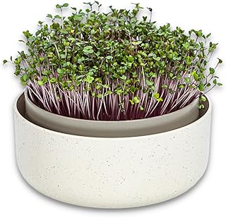 Urbalive große Keimschale 16cm – Kresse Anzuchtschale für Sprossen, Kressesamen, Microgreens – …