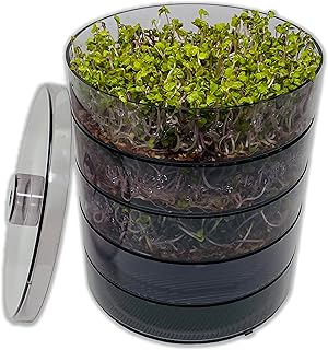SaatPur® Keimsprossenbox Set 4 mit Vier Etagen als Sprossen Keimgerät: Sprossen Anzucht sowie M…