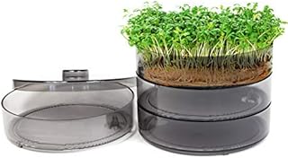 mgc24® Keimbar – Keimsprossenbox zur Anzucht von Keimsprossen mit 4 Keimschalen und Deckel