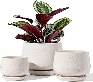 LE TAUCI Keramik Blumentopfe mit Untersetzer, 10+13+16 cm Durchmesser Klein Blumentöpfe Set, 3er…