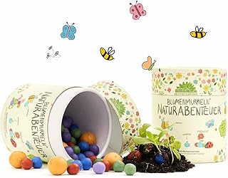 100 bunte Blumenmurmeln „Mein Naturabenteuer“ | handgerollte, farbenfrohe Samenbomben | Perfekt z…