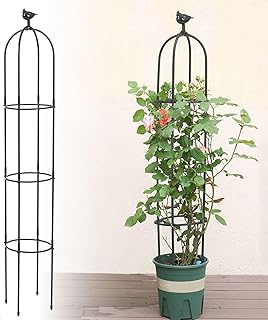 6 Fuß hohes Gartenspalier für Kletterpflanzen Kalolary Garden Tower Obelisk Rankgitter Rostfrei…