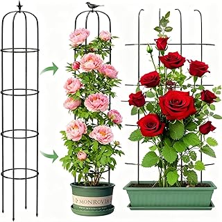 LATERN 1 Stück Garten Obelisk Spalier für Kletterpflanzen, 180CM Hoch Rostfrei Beschichtete Met…