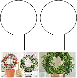 Tyqour Rund Rankhilfe Zimmerpflanzen Rankgitter Metall, 2 Stück Garten Pflanzenhalter, 20x28cm R…