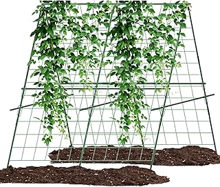 Rankgitter für Tomaten Gurken,120CM * 120CM Gurke Rankhilfe Set, Garten Rankgitter, Pflanzkäfig…