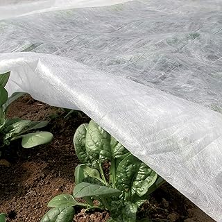 TENAX Ortoclima Plus Kälteschutzvlies 1,60×10 m Weiß, Winterfrostschutzvlies für Pflanzen und …